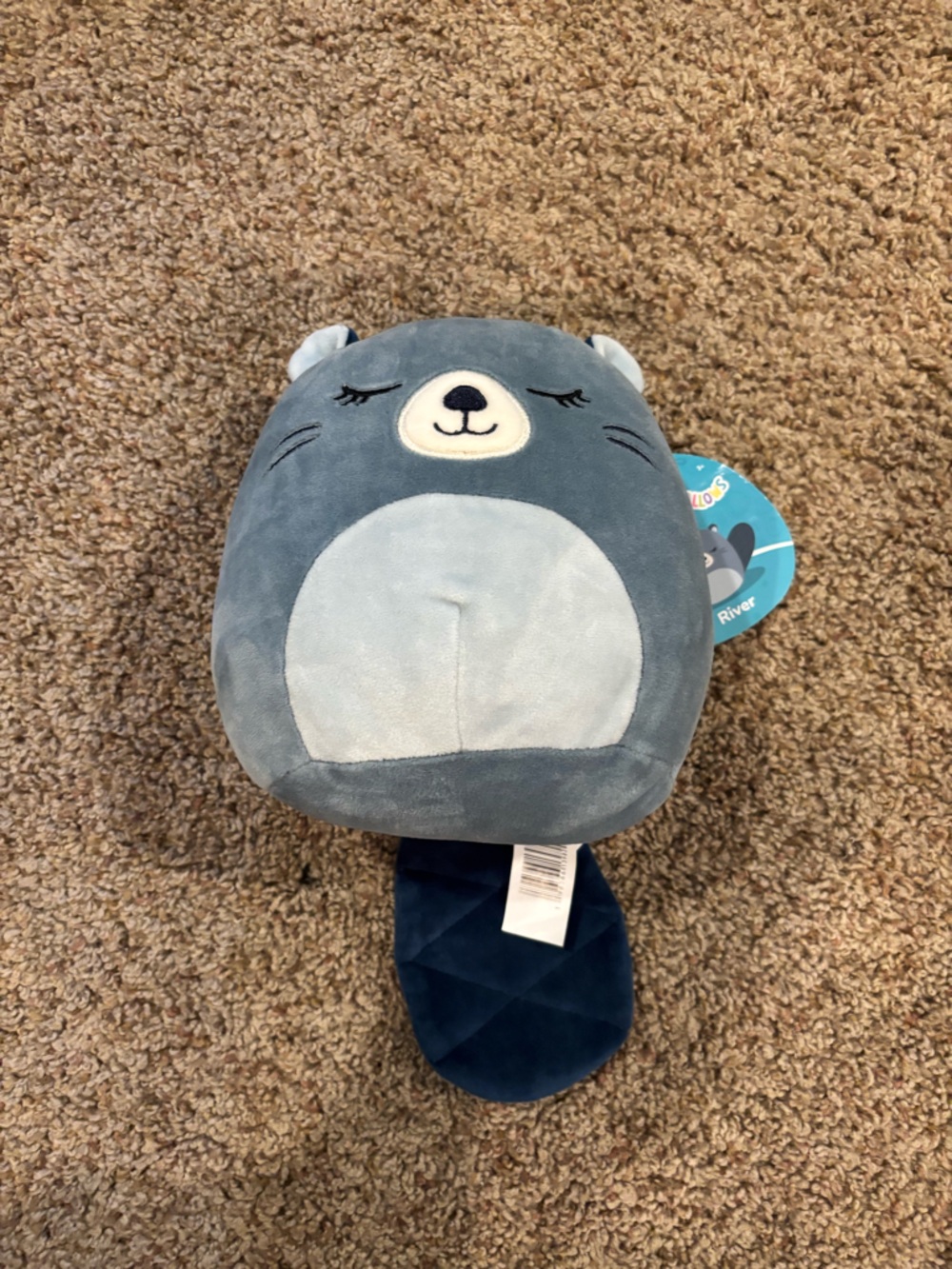 NWT 7 in River the Beaver Squishmallow